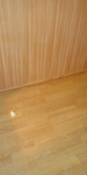dsc00022