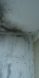 dsc00023